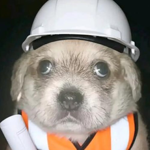 Marisol construction worker