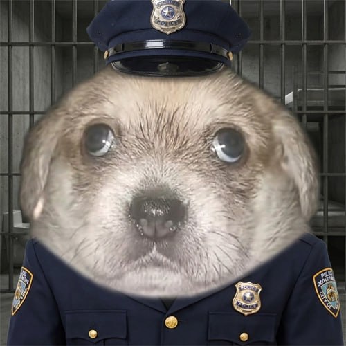 Marisol police officer