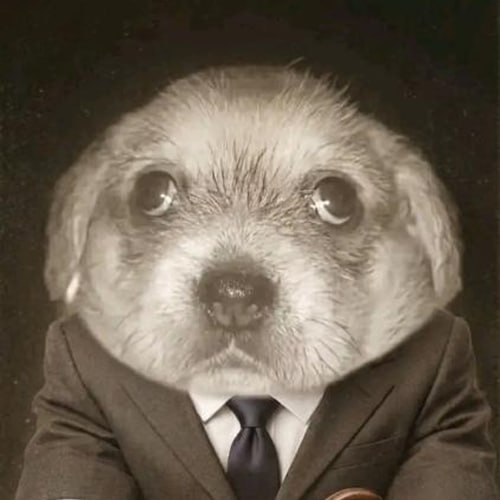 Marisol business professional